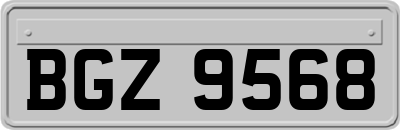 BGZ9568