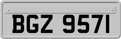 BGZ9571