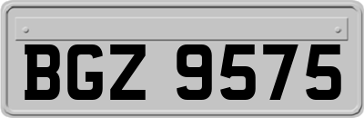 BGZ9575