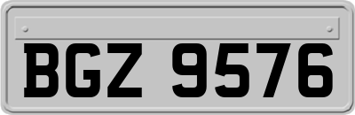 BGZ9576