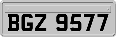 BGZ9577