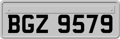 BGZ9579