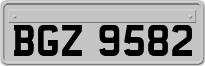 BGZ9582