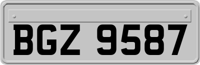 BGZ9587