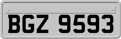 BGZ9593