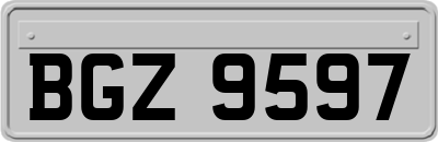 BGZ9597