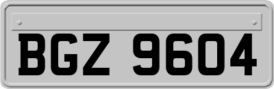 BGZ9604