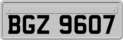 BGZ9607