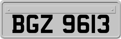 BGZ9613