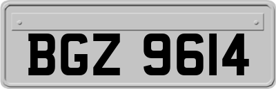 BGZ9614