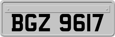 BGZ9617
