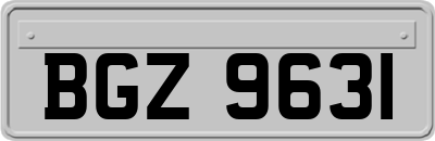 BGZ9631