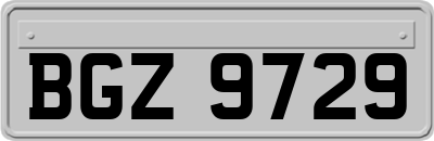 BGZ9729