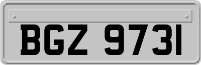 BGZ9731