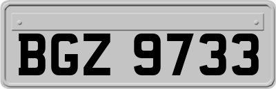 BGZ9733