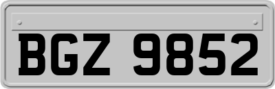 BGZ9852