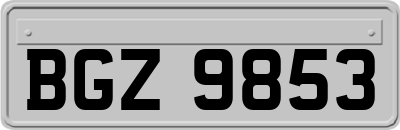 BGZ9853