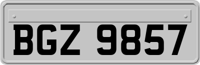 BGZ9857
