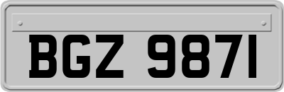 BGZ9871