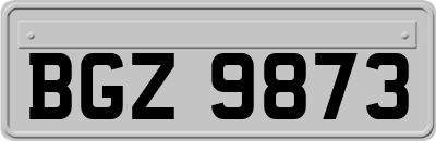 BGZ9873