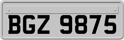 BGZ9875