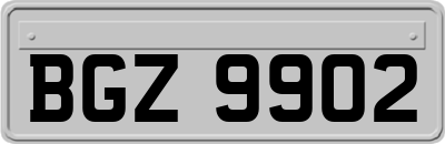 BGZ9902