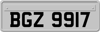 BGZ9917