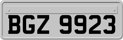 BGZ9923