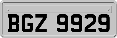 BGZ9929