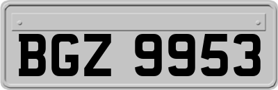 BGZ9953