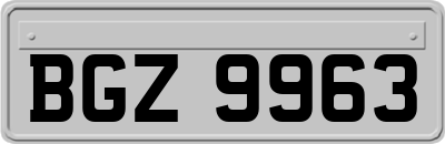 BGZ9963