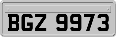 BGZ9973