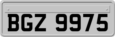 BGZ9975