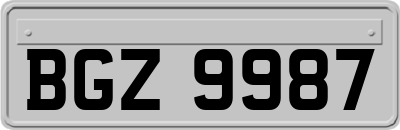 BGZ9987