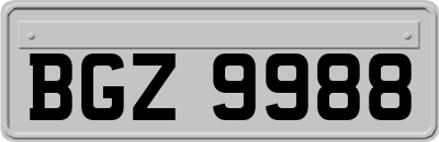 BGZ9988