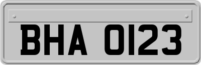 BHA0123