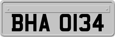 BHA0134