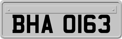 BHA0163