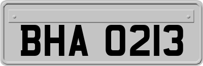 BHA0213