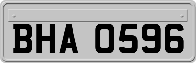 BHA0596
