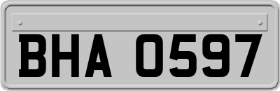 BHA0597