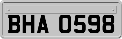 BHA0598