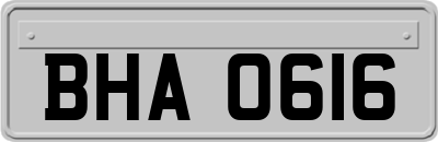 BHA0616