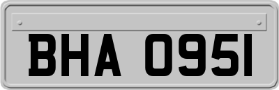 BHA0951