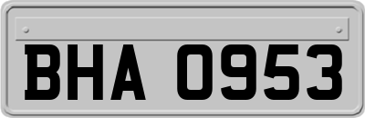 BHA0953