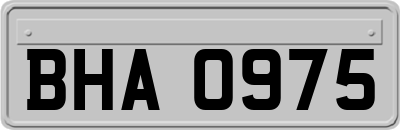 BHA0975