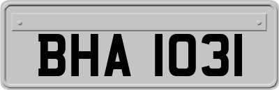 BHA1031