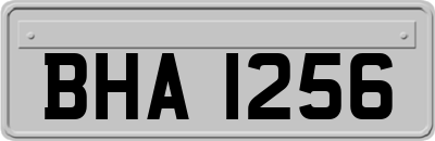 BHA1256
