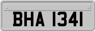 BHA1341