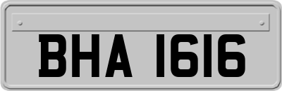 BHA1616